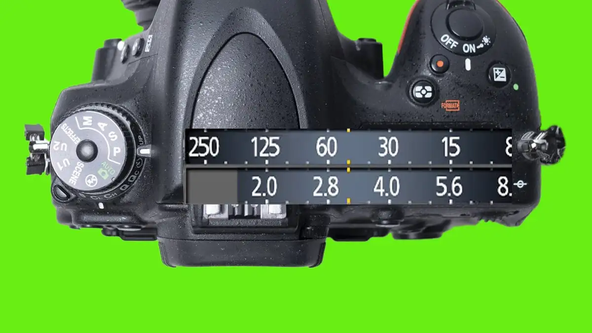 Warum du den P-Modus deiner Kamera unterschätzt